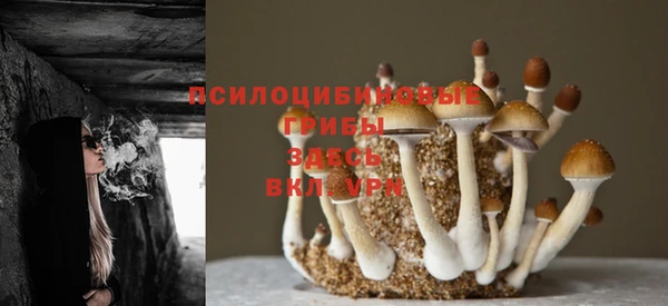 кокаин Заволжск