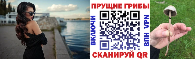 Купить где  Курильск  Галлюциногенные грибы мухоморы 